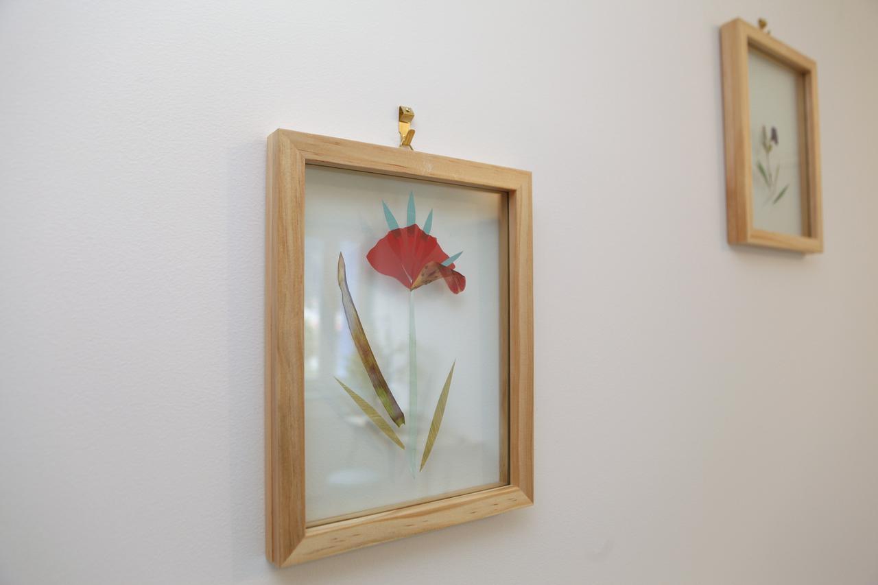 Le Saule Reveur Bed and Breakfast Die Εξωτερικό φωτογραφία