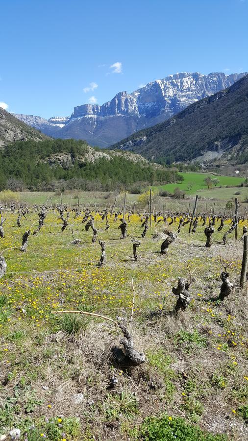 Le Saule Reveur Bed and Breakfast Die Εξωτερικό φωτογραφία