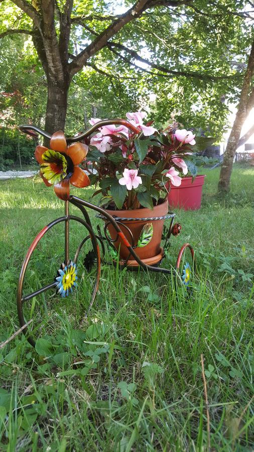 Le Saule Reveur Bed and Breakfast Die Εξωτερικό φωτογραφία